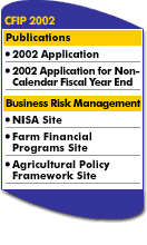 CFIP 2002 - Side Menu - Publications; Business Risk Management