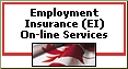 Employment Insurance (EI) On-line Services
