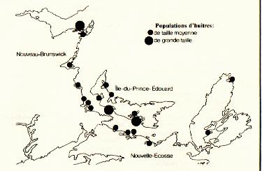 Zones principales de production d'hutres des Provinces maritimes. 
