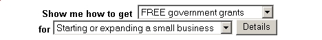 Small business government grants (small business grants)
