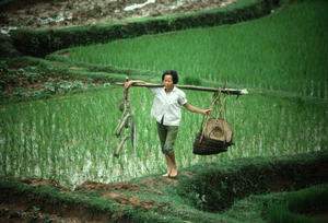 Community-Based Natural Resource Management (ASIA)