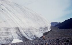 Photo du front d'un glacier,  l'le d'Ellesmere