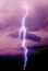 Manitoba lightning. Photo: Dan Lewis (Black Tree Photography)