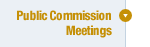 Public Commission Meetings