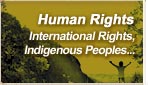 Human Rights: International Rights, Indigenous Peoples ...