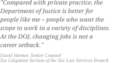 Compared with private practice, the Department of Justice is better for people like me - people who want the scope to work in a variety of disciplines. At the DOJ, changing jobs is not a career setback. David Merner, Senior Council, Tax Litigation Section of the Tax Law Services Branch
