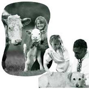 Cows, Children, Dogs, People