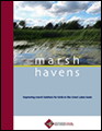 Marsh havens – improving marsh habitats for birds in the Great Lakes basin