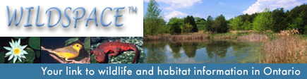 WILDSPACE TM - Your link to wildlife and habitat information in Ontario