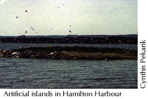 Artifical islands in Hamilton Harbour