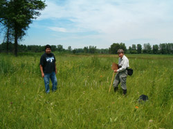 Photo of two people doing an inventory in a field / Canadian Wildlife Service