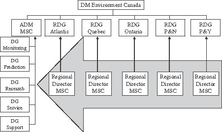 MSC Matrix Organization