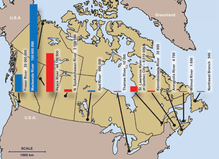 Average annual suspended sediment load for selected rivers in Canada