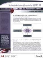 CEPA 1999: The Management Process - CEPA 1999, How it works