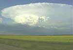 Thunderstorm looming over the prairies. Photo: John Parker