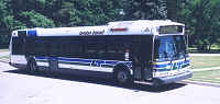 Image - Bus