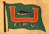FPU Flag