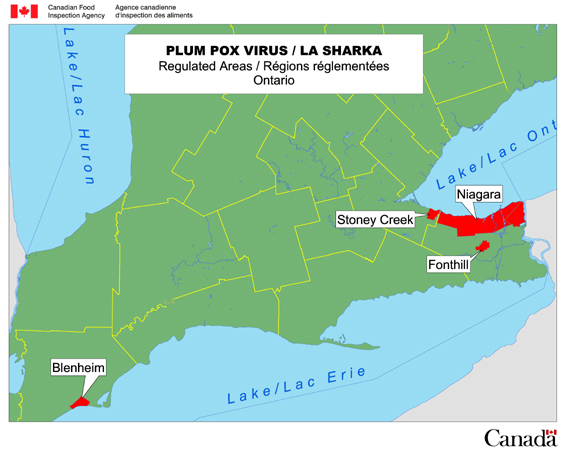 Red Areas show the Plum Pox Virus Quarrantine zones within the Province of Ontario 2003, see description below.