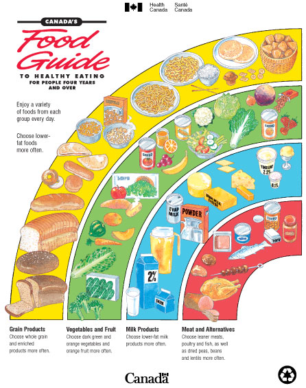 healthy eating guide poster