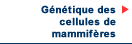 Gntique des cellules de mammifres