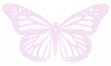 Illustration d'un papillon monarque.