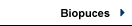 Biopuces