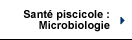 Sant piscicole : Microbiologie