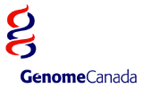 Logo de Gnome Canada.