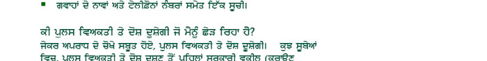 Pamphlet - Punjabi Version