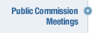 Public Commission Meetings