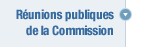 Runions publiques de la Commission