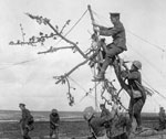 Signallers improvise a support for signal wire on the Western Front. NAC - PA703, MCEM