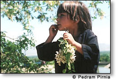 Child with flowers
 Pedram Pirnia