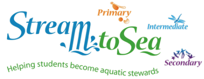 Stream to Sea logo