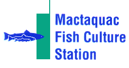 Mactaquac Fish Culture Station