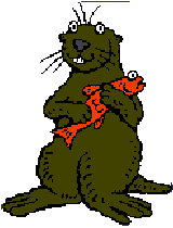A cartoon of a sea otter.