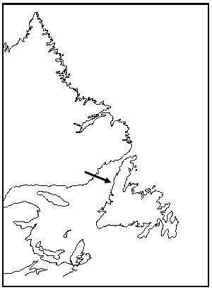 Certains passages ou bras de mer peuvent ressembler  des fjords ou ils peuvent avoir t des fjords  une certaine poque, mais ils ne sont pas classs comme tels. Les lacs Western Brook Pond, Trout River Pond et Bakers Brook Pond sur la cte ouest de Terre-Neuve font partie de cette catgorie. Ils ont t des fjords lors de la priode postglaciaire quand le niveau de la mer tait lev. Aujourd'hui, ils sont compltement isols de la mer par une large bande de terre et ce sont des lacs profonds d'eau douce.