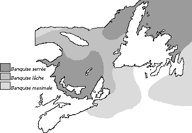 Couverture de glaces au Canada atlantique