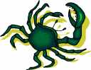 Clipart of Crab