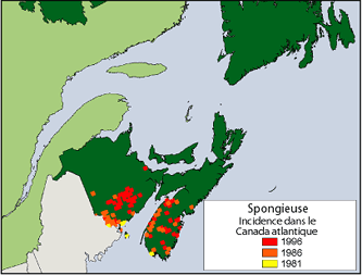 Spongieuse Incidence dans le Canada atlantique (Source : Service canaden des forts)
