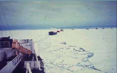 Baie Norwegian : convoi en route pour Eureka (Service canadien des glaces)