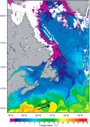 In coastal areas, the white color respresents sea ice. (Source : Department of Fisheries and Oceans, Canada)