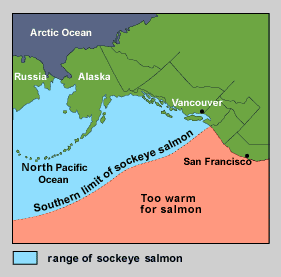 Southern limit of sockeye salmon (Source: Burghner, 1991)
