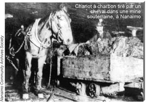 Chariot  charbon tir par un cheval dans une mine souterraine  Nanaimo