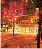 Christmas Lights in Canada's Capital Region