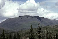 Figure 21. TuyaL'arte Hyalo, dans le parc provincial Wells Gray est un tuya, un volcan infraglaciaire typique au sommet tabulaire et aux flancs abrupts. (Photo C.J. Hickson (Commission gologique du Canada))