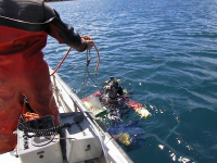 Summer diver coring in collaboration with Environment Canada, National Water Research Institute (July 2000)Photograph : D. Kliza
