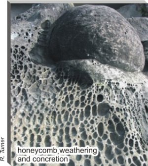 honeycomb weathering and concretion