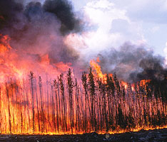 Photo courtesy of Natural Resources Canada