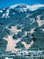 Whistler et les pentes de ski du mont Blackcomb.